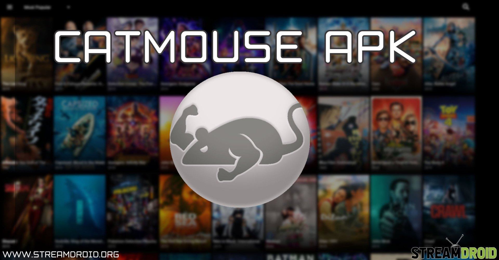 Image result for Catmouse APK